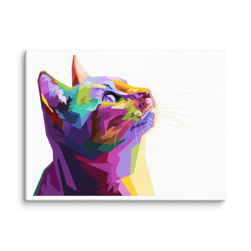 Colourful Cat Design Canvas Print