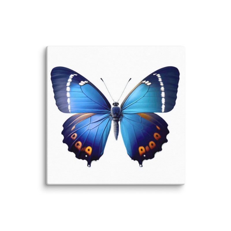 Blue Butterfly Design Canvas