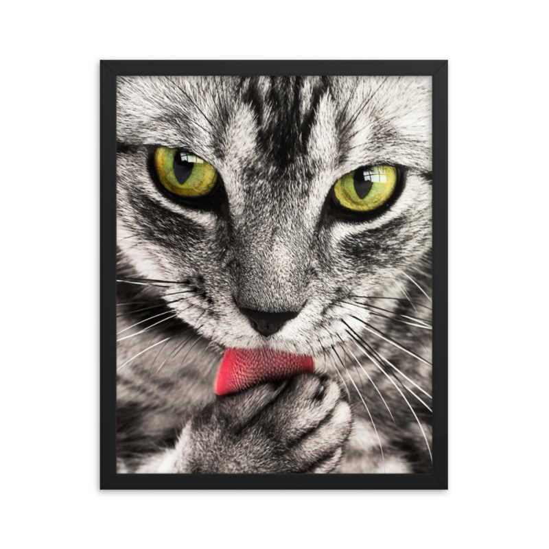 Sharp Eyes Framed poster