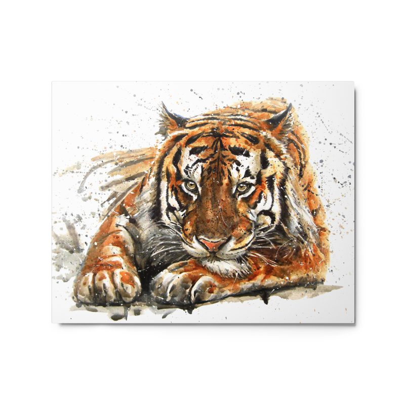 Asian Tiger Metal print