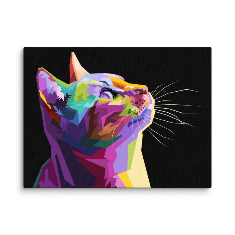 Colorful Cat on Black Canvas